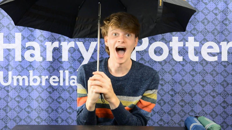Harry Potter Umbrellas