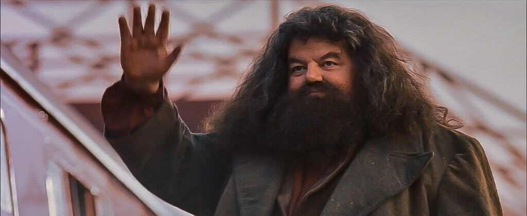 Rubeus Hagrid