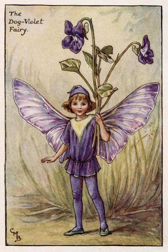 Flower fairies