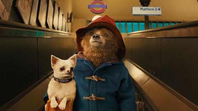 Paddington Bear