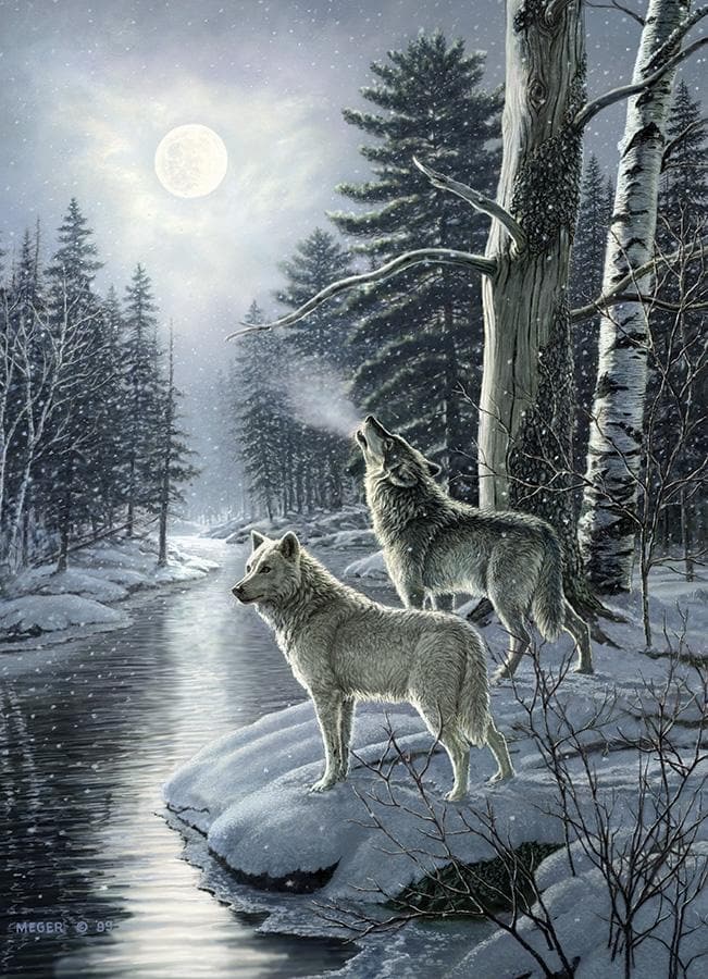 Wolves by Moonlight 1000 piece Jigsaw Puzzle - Olleke Wizarding Shop Amsterdam Brugge London