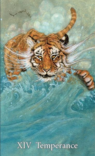 Mary-El Tarot cards - Olleke Wizarding Shop Amsterdam