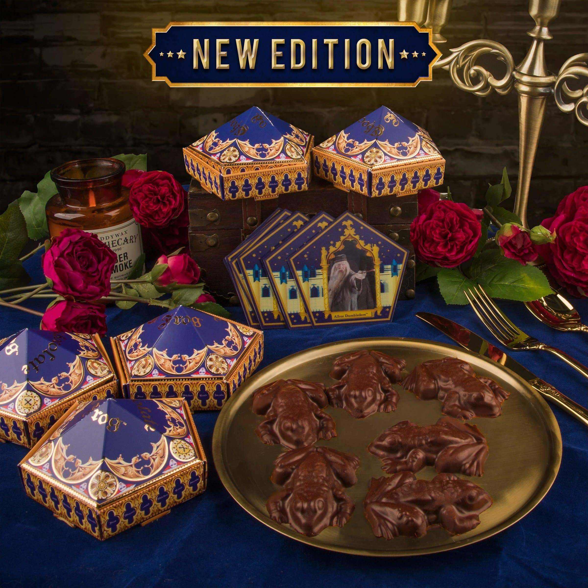 Chocolate Frog Mold - Olleke Wizarding Shop Amsterdam Brugge London