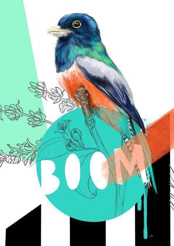 Blue Crowned Trogon - Boom Greeting Card - Olleke Wizarding Shop Amsterdam Brugge London