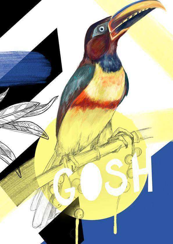 Chestnut-eared araçari - Gosh Greeting Card - Olleke Wizarding Shop Amsterdam Brugge London