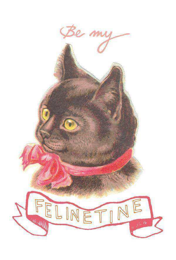 Be My Felinetine Greeting Card - Olleke Wizarding Shop Amsterdam Brugge London