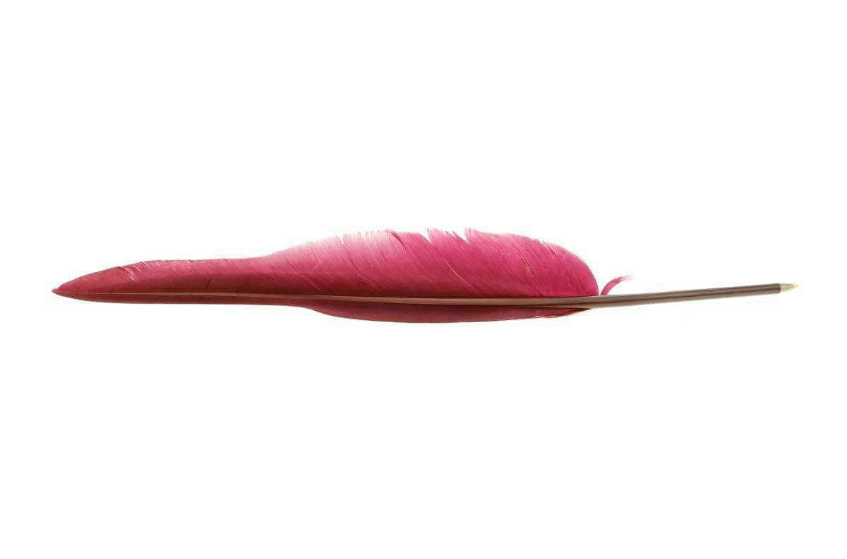 Quill Ruby - Olleke Wizarding Shop Amsterdam Brugge London