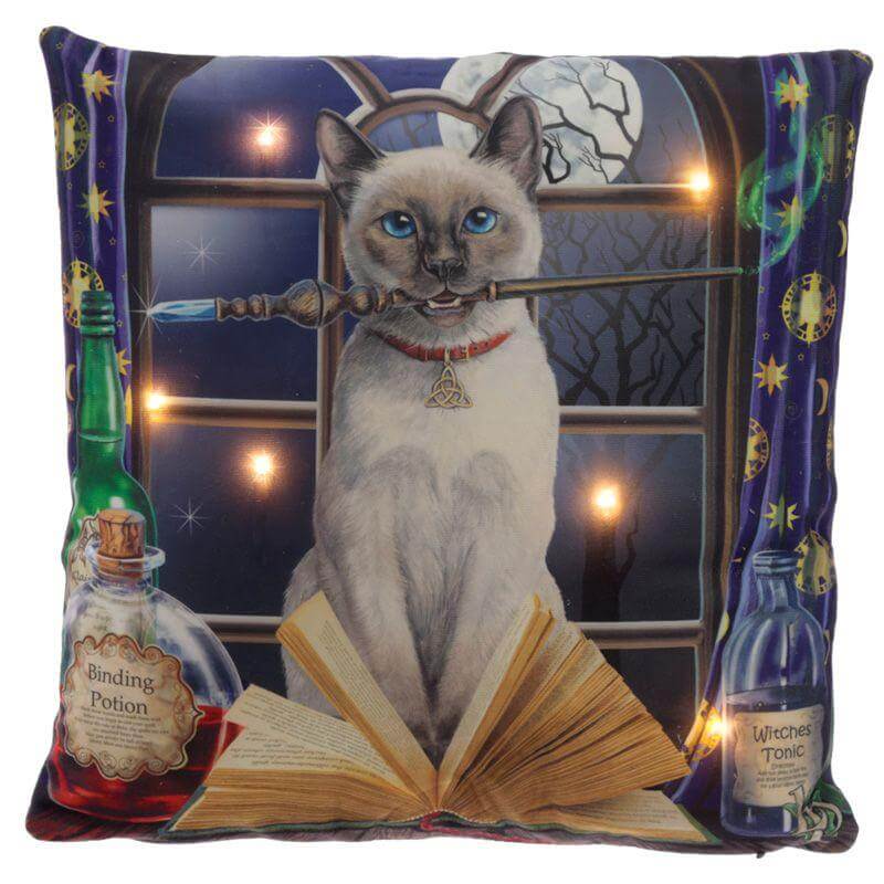 Cat with Wand Cushion - Olleke Wizarding Shop Amsterdam Brugge London