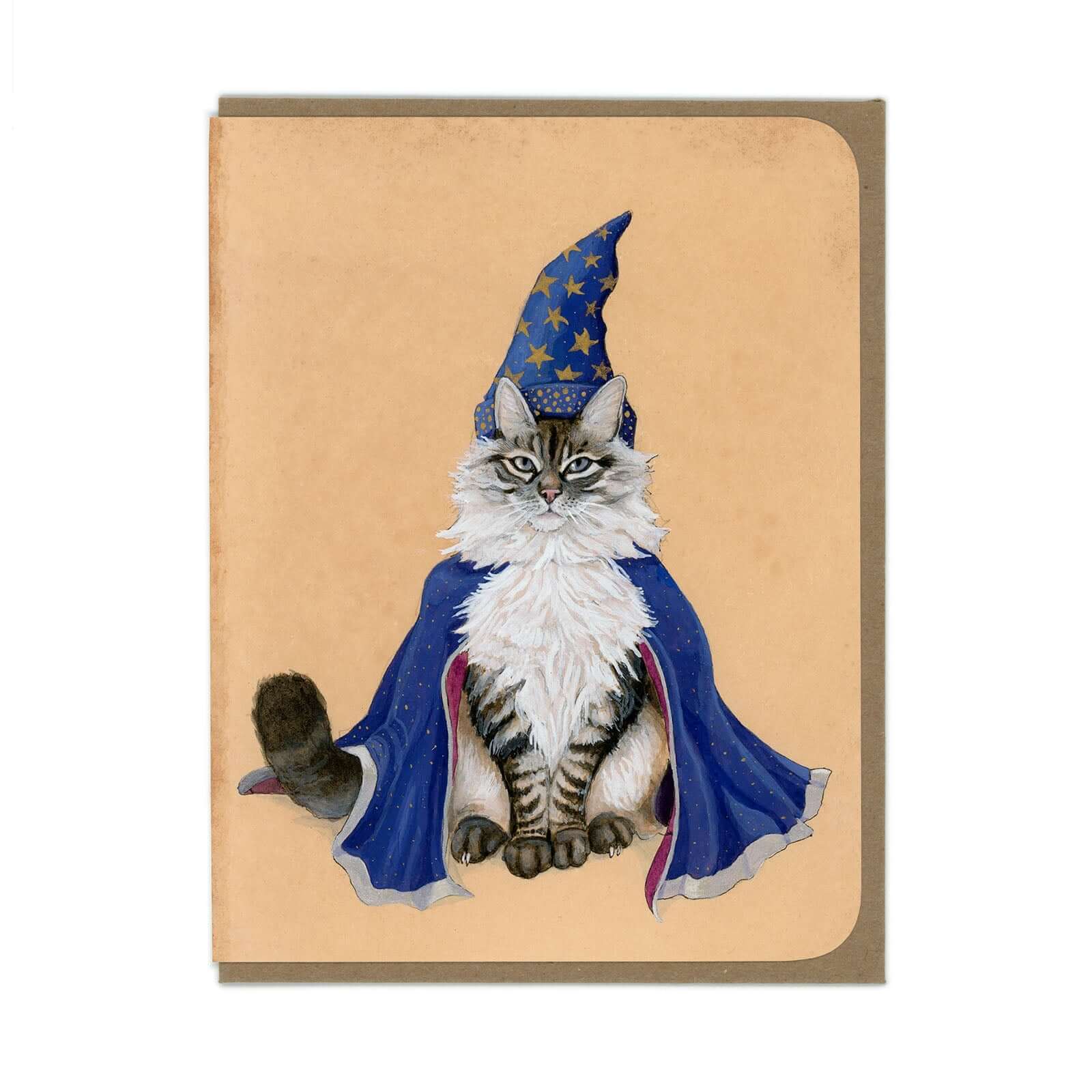 Cat Wizard Greeting Card - Olleke Wizarding Shop Amsterdam Brugge London