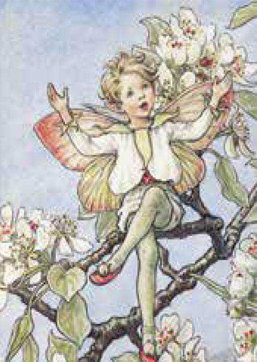 Flower Fairies Mini Card - Olleke Wizarding Shop Amsterdam Brugge London