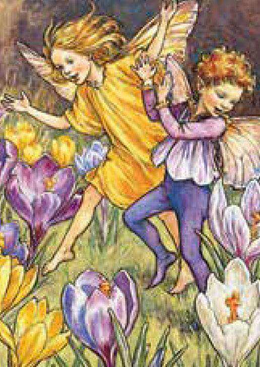 Flower Fairies Mini Card - Olleke Wizarding Shop Amsterdam Brugge London