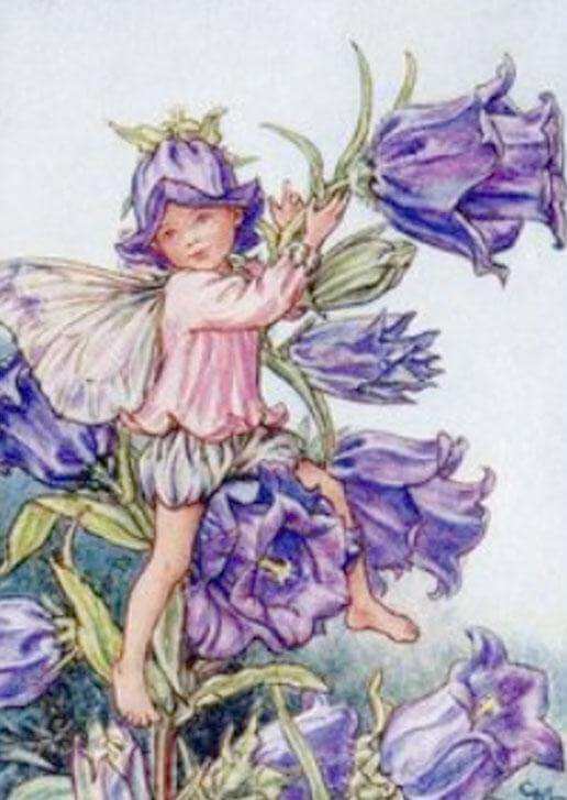 Flower Fairies Mini Card - Olleke Wizarding Shop Amsterdam Brugge London