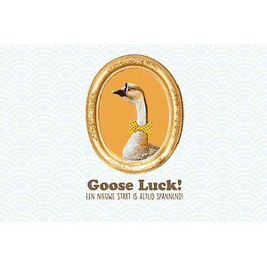 Goose luck - Olleke Wizarding Shop Amsterdam Brugge London