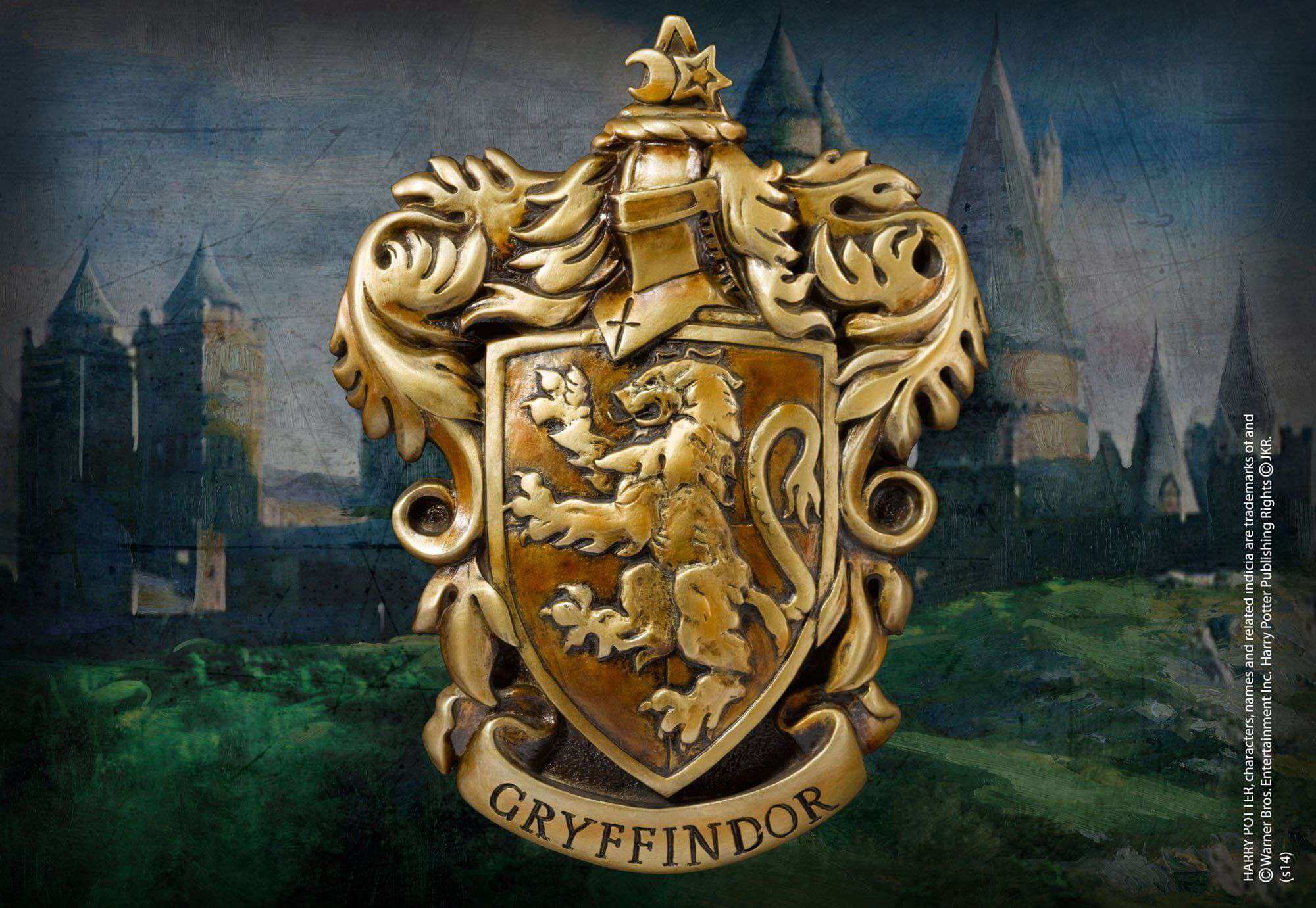 Gryffindor Crest Wall Art - Olleke Wizarding Shop Amsterdam Brugge London