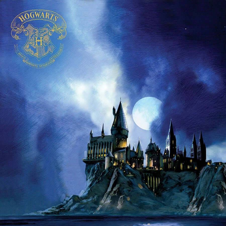 Harry Potter Hogwarts at Night Double Sided Embellished Paper - Olleke Wizarding Shop Amsterdam Brugge London