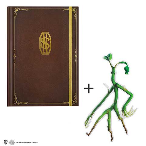 Newt Scamander Notebook - Olleke Wizarding Shop Amsterdam Brugge London