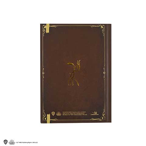 Newt Scamander Notebook - Olleke Wizarding Shop Amsterdam Brugge London