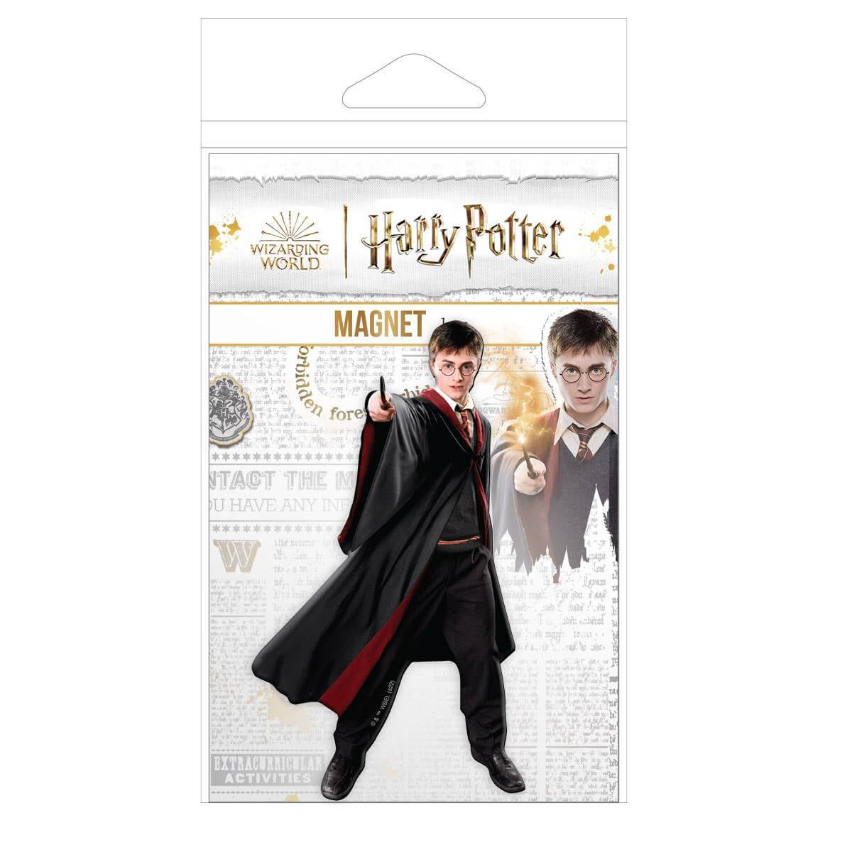 Harry Potter Fridge Magnet - Harry - 5th Year - Olleke Wizarding Shop Amsterdam Brugge London