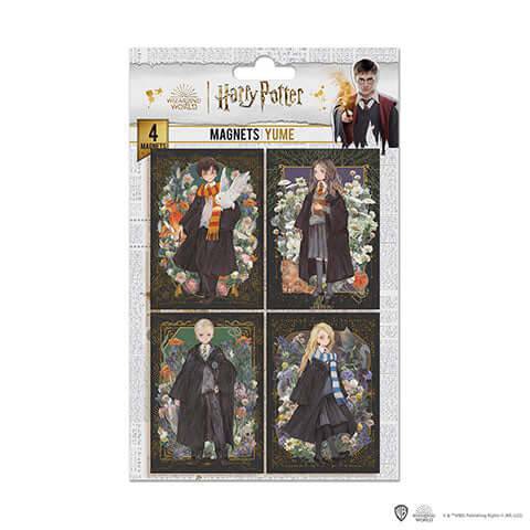 Harry Potter Magnets Portraits - Olleke Wizarding Shop Amsterdam Brugge London