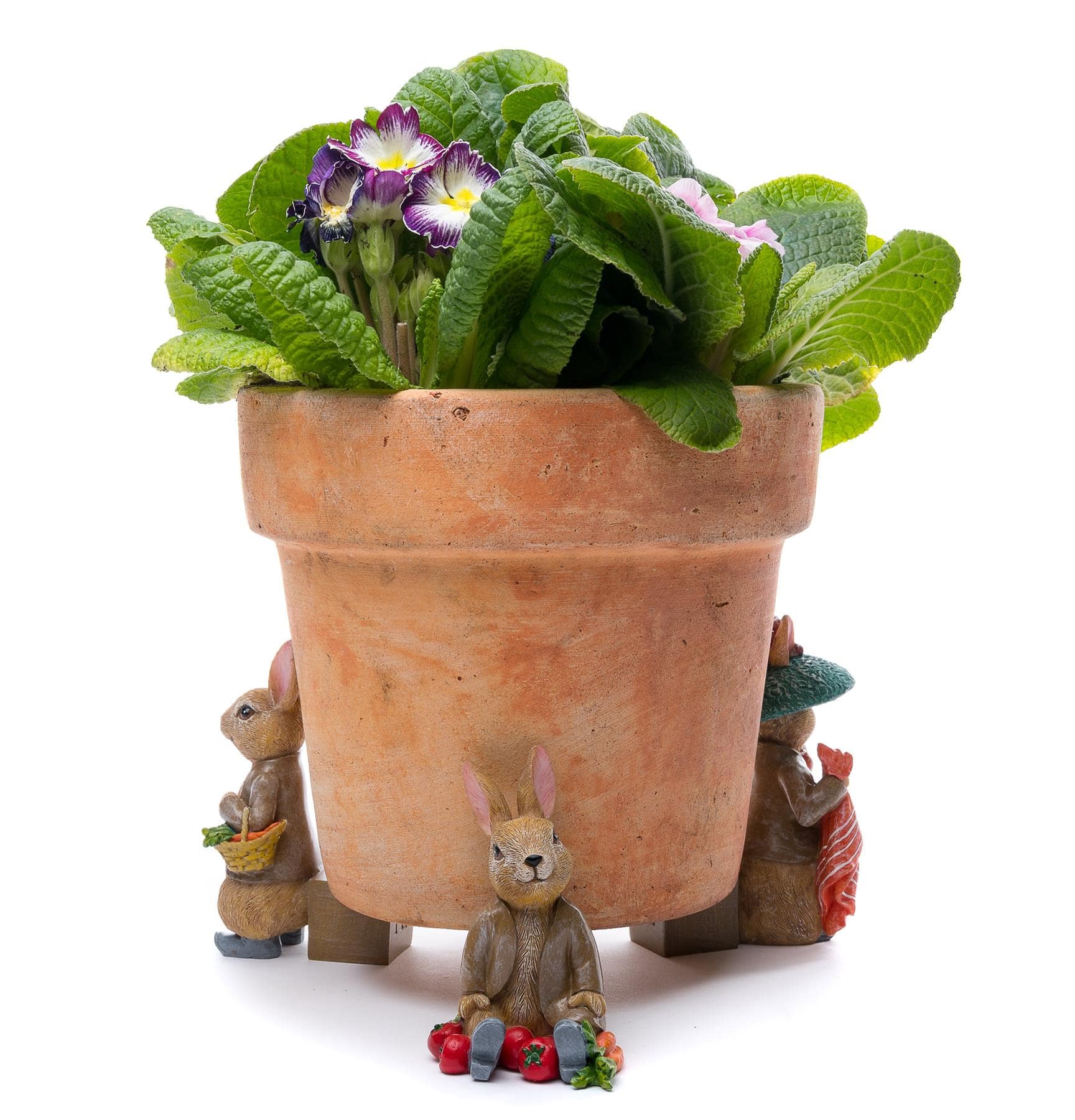 Beatrix Potter Benjamin Bunny Plant Pot Feet - Olleke Wizarding Shop Amsterdam Brugge London