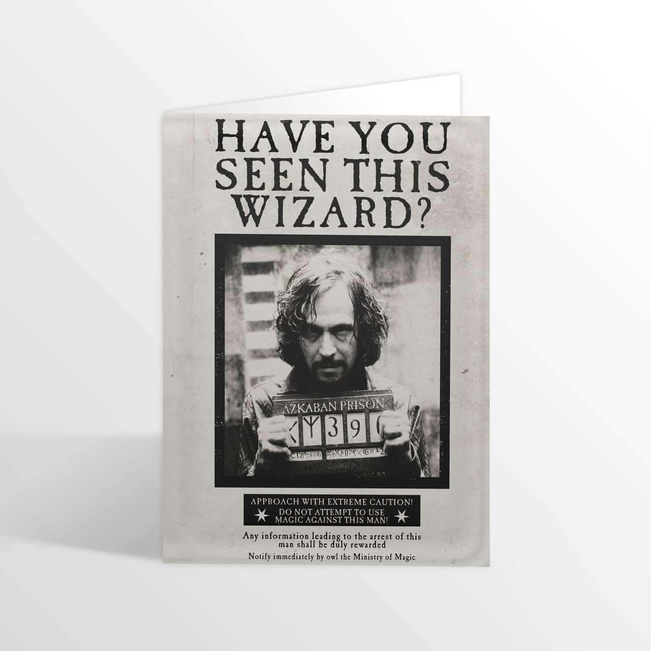 Have you Seen this Wizard? Lenticular Notecard - Olleke Wizarding Shop Amsterdam Brugge London