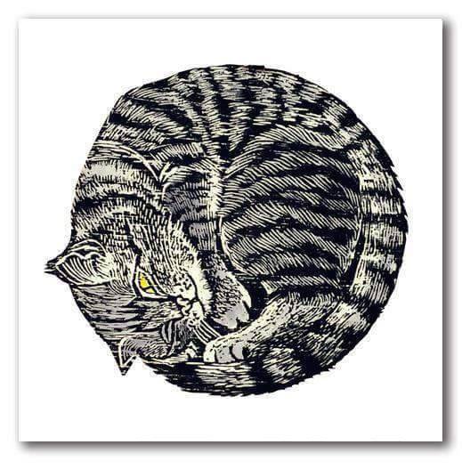 Kitten Greeting Card by Annie Soudain - Olleke Wizarding Shop Amsterdam Brugge London