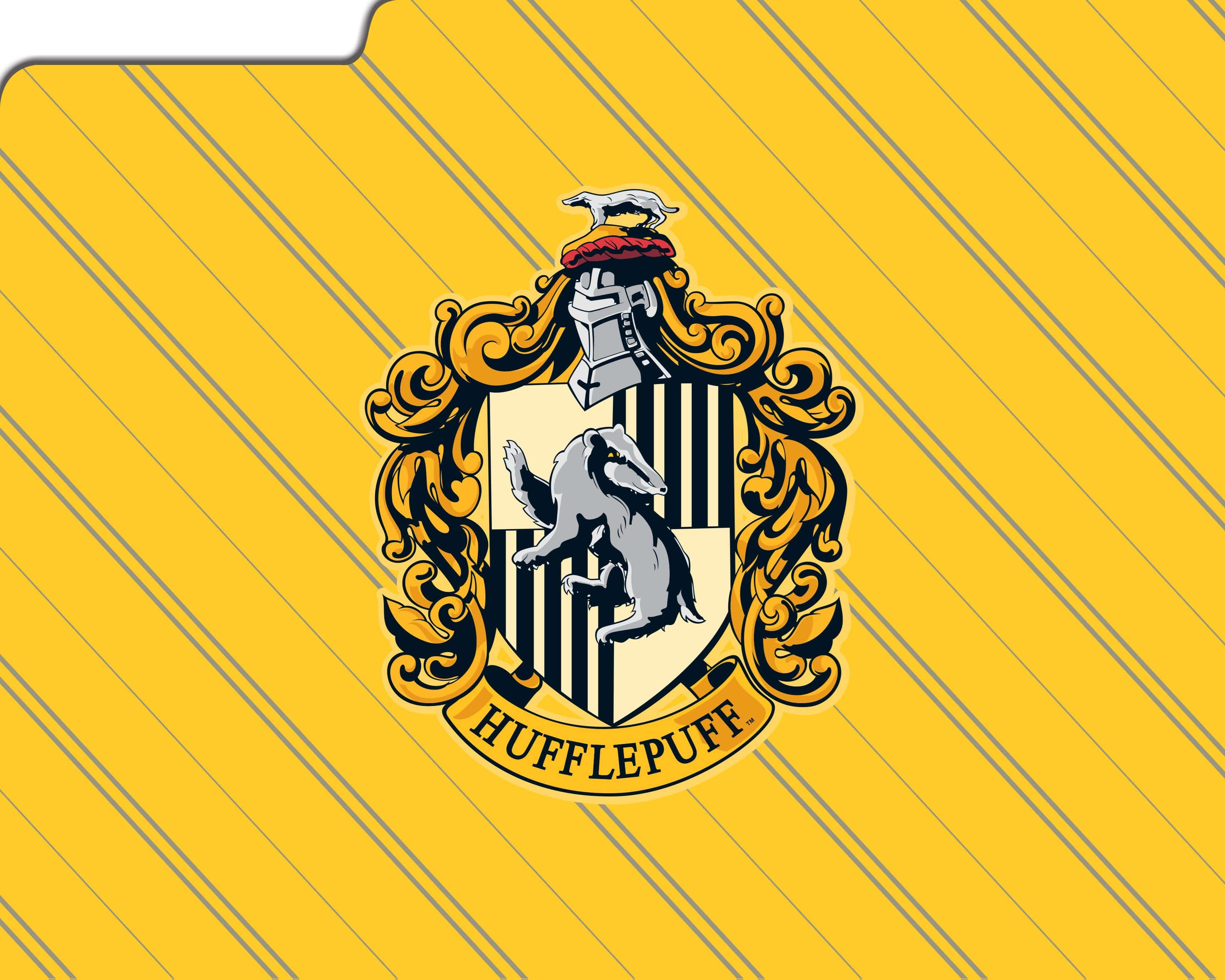 Harry Potter: Hogwarts Houses File Folder Set - Olleke Wizarding Shop Amsterdam Brugge London