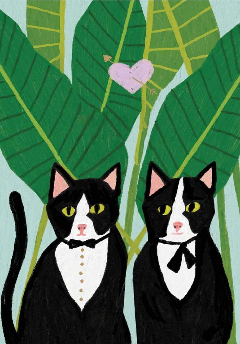 Love Cats Blank Petite Card - Olleke Wizarding Shop Amsterdam Brugge London