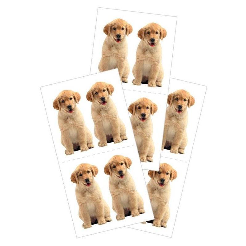 Golden Retriever Puppies Stickers - Olleke Wizarding Shop Amsterdam Brugge London