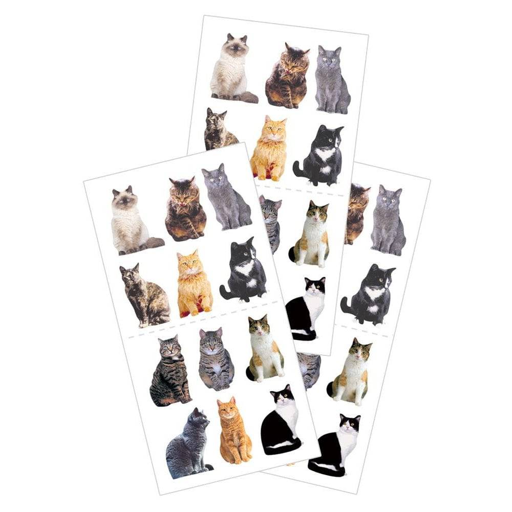 Mini Mixed Cats Sticker - Olleke Wizarding Shop Amsterdam Brugge London