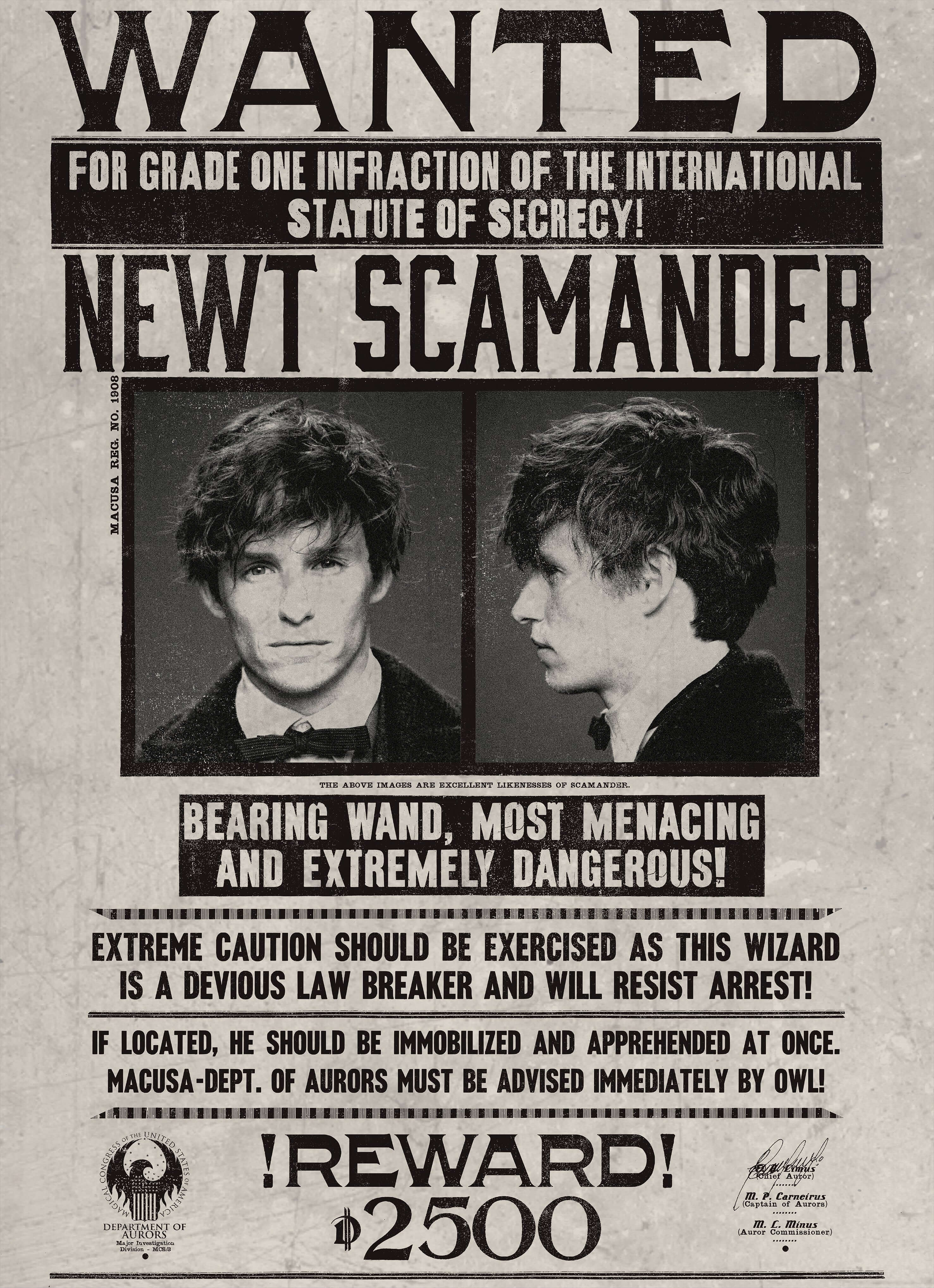 Newt Scamander Wanted Notice - Olleke Wizarding Shop Amsterdam Brugge London