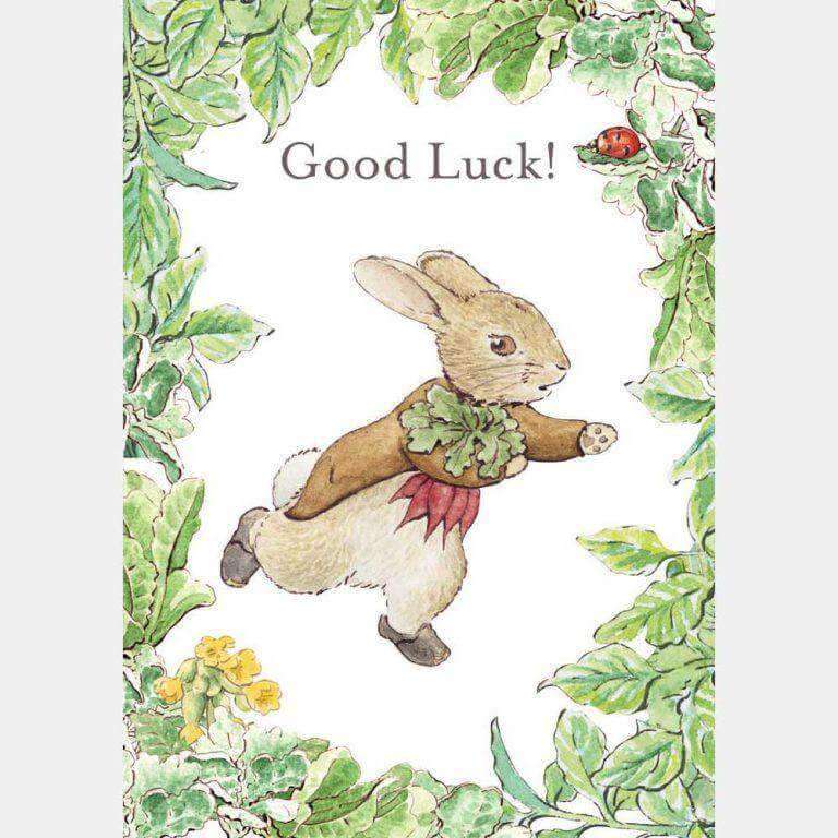 Peter Rabbit Card: Benjamin Bunny ‘Good Luck!’ - Olleke Wizarding Shop Amsterdam Brugge London