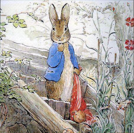 Peter Rabbit Card: Peter Gets Caught - Olleke Wizarding Shop Amsterdam Brugge London