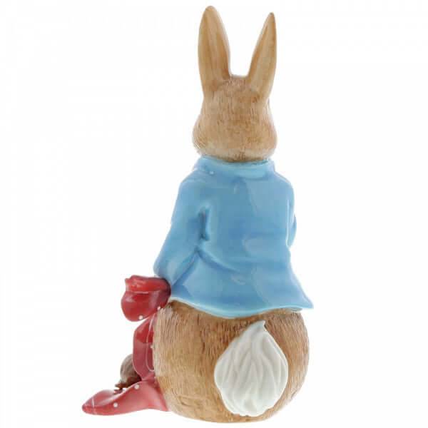 Peter Rabbit with Pocket-Handkerchief Limited Edition - Olleke Wizarding Shop Amsterdam Brugge London