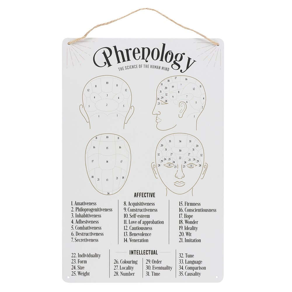 Phrenology Map Metal Sign - Olleke Wizarding Shop Amsterdam Brugge London