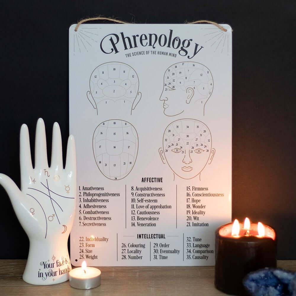 Phrenology Map Metal Sign - Olleke Wizarding Shop Amsterdam Brugge London