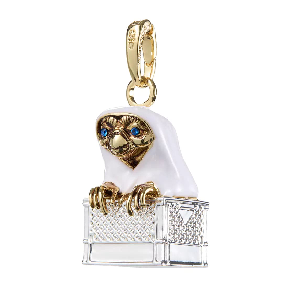 E.T. Charm – In the Basket - Olleke Wizarding Shop Amsterdam Brugge London