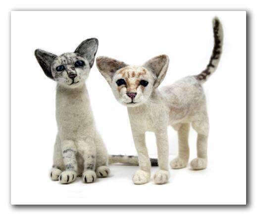 Siamese cats Greeting Card by Ruth Packham - Olleke Wizarding Shop Amsterdam Brugge London