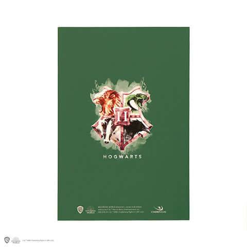 Slytherin Notebook - Olleke Wizarding Shop Amsterdam Brugge London