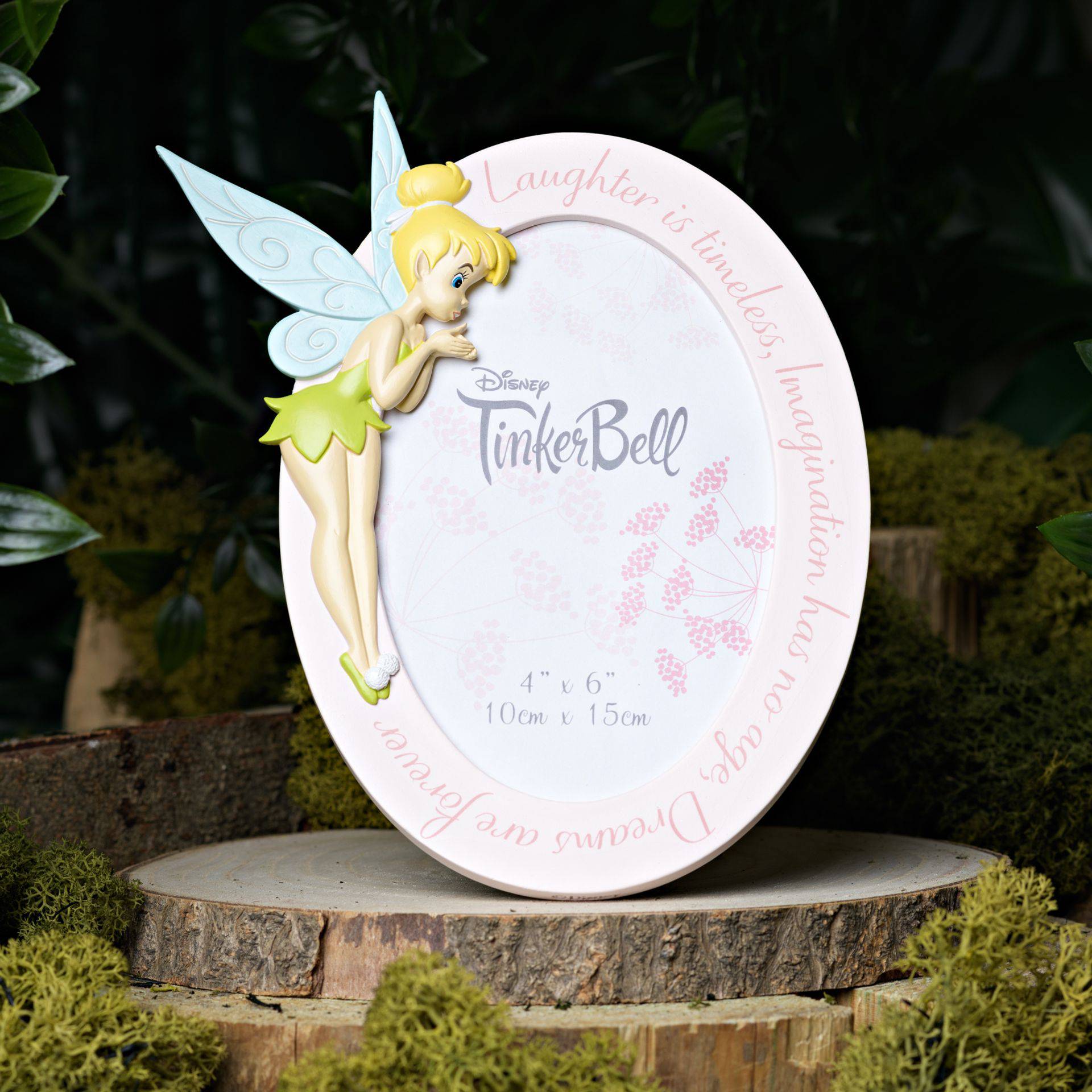 Disney Tinkerbell Resin Oval Photo Frame - Olleke Wizarding Shop Amsterdam Brugge London