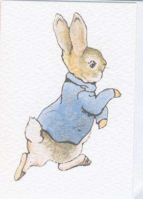 Peter Rabbit Mini Card - Olleke Wizarding Shop Amsterdam Brugge London