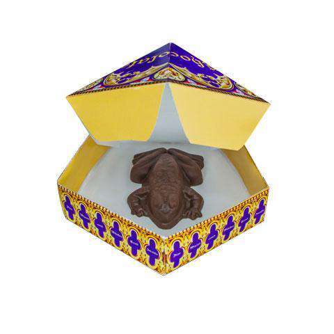 Chocolate Frog Mold - Olleke Wizarding Shop Amsterdam Brugge London