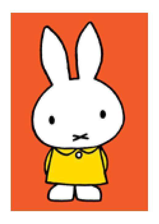 Miffy Mini Card - Olleke Wizarding Shop Amsterdam Brugge London