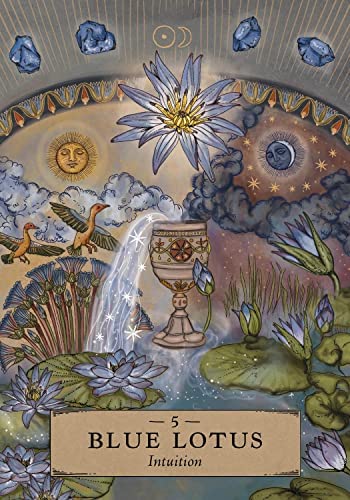 The Herbal Astrology Oracle