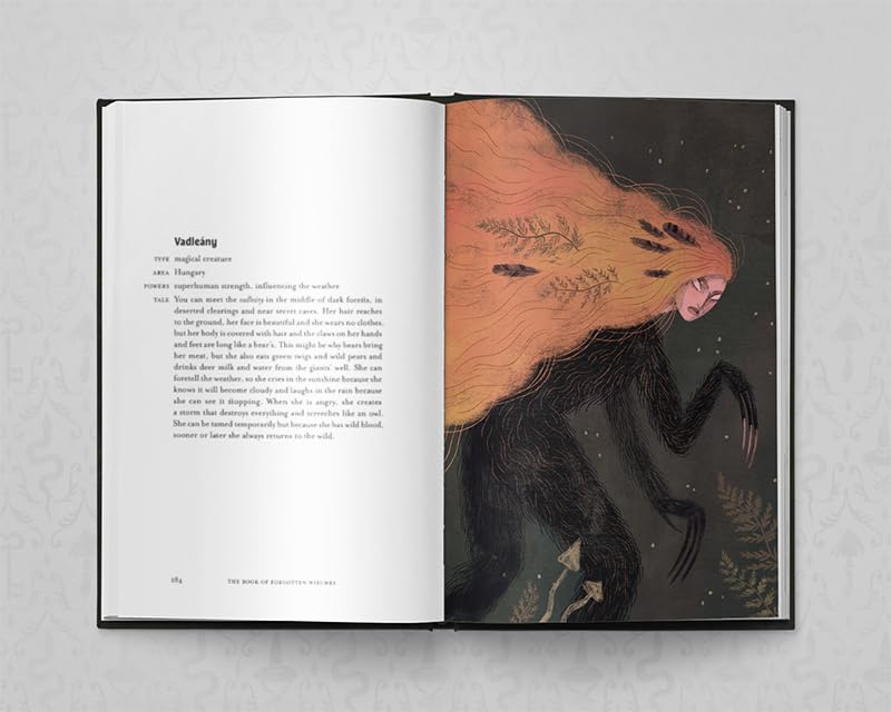 The Book of Forgotten Witches: Dark & Twisted Folklore & Stories from Around the World