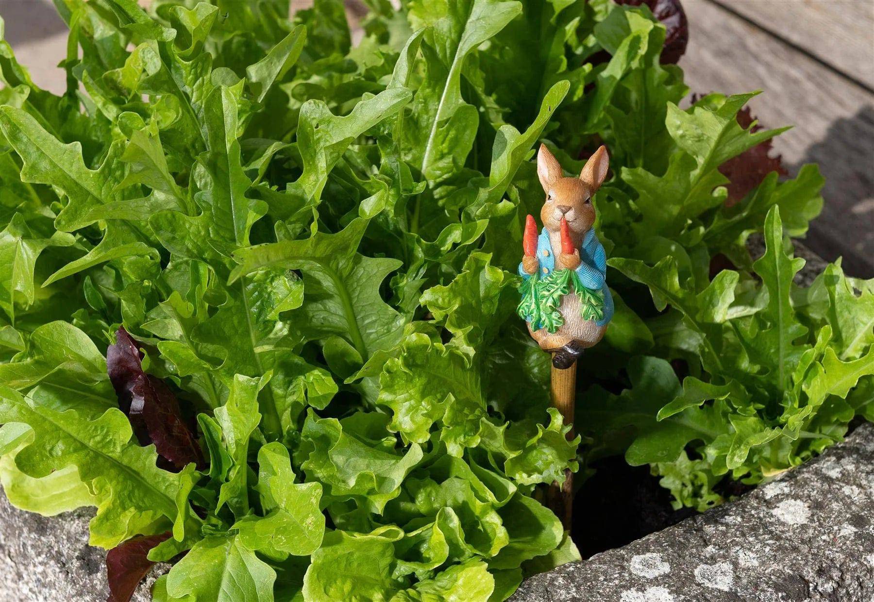 Beatrix Potter Peter Rabbit Eating Radishes Cane Or Stake Topper - Olleke Wizarding Shop Amsterdam Brugge London