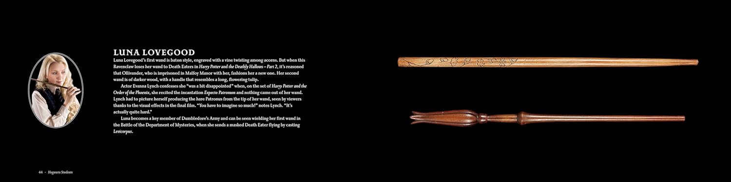 Harry Potter : Les baguettes magiques du monde magique