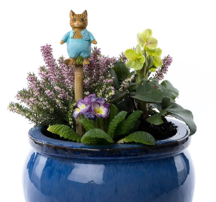 Beatrix Potter Tom Kitten Canne ou piquet