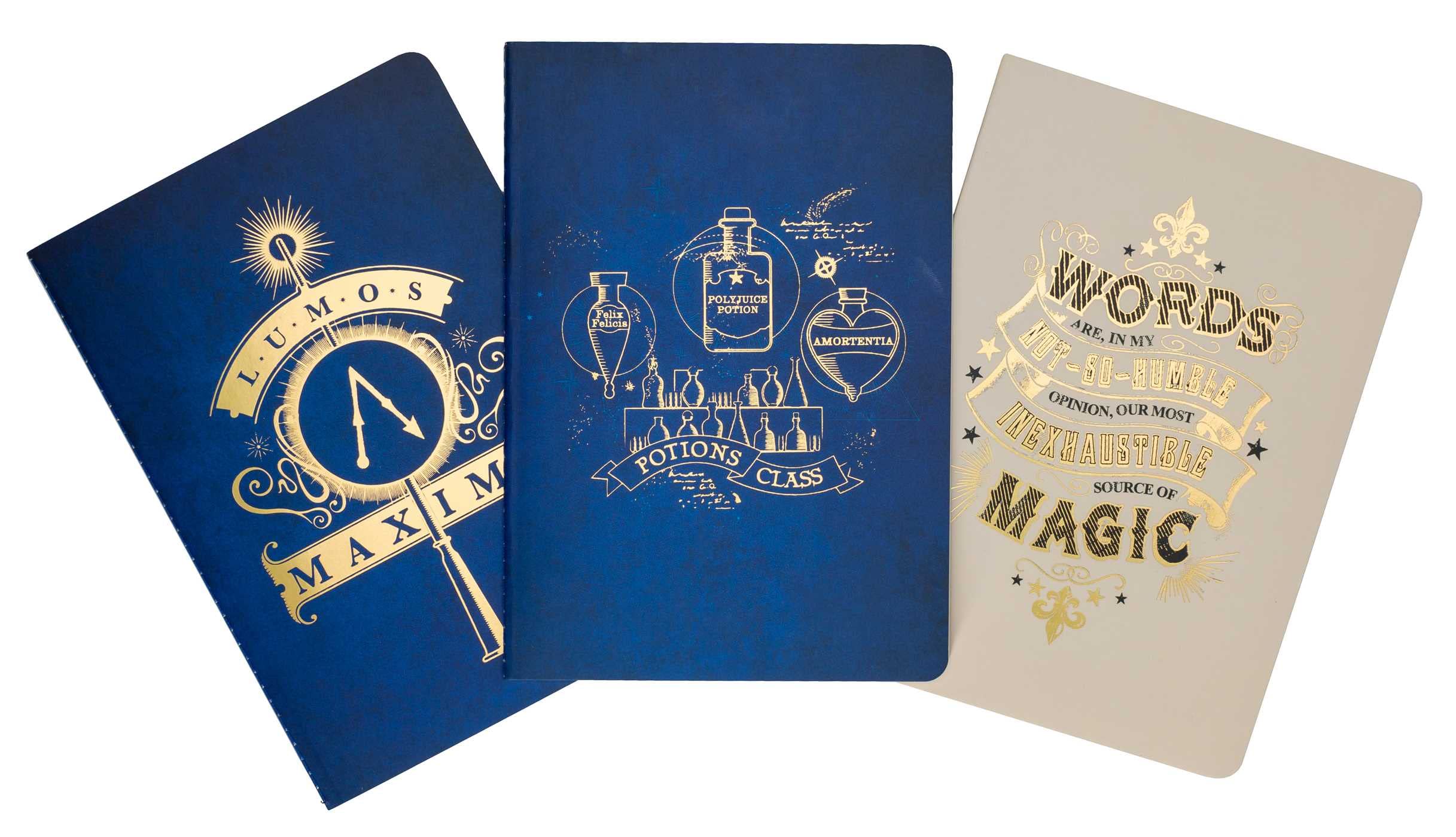 Harry Potter: Spreuken en Drankjes Planner Notebook Collectie