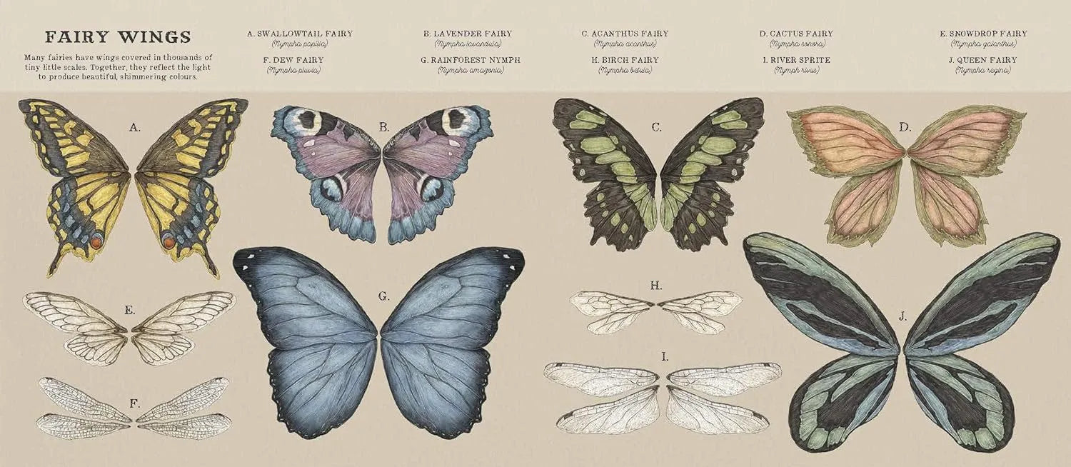 Histoire naturelle des fées